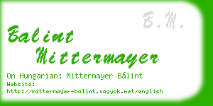 balint mittermayer business card