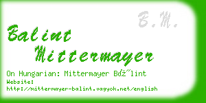 balint mittermayer business card